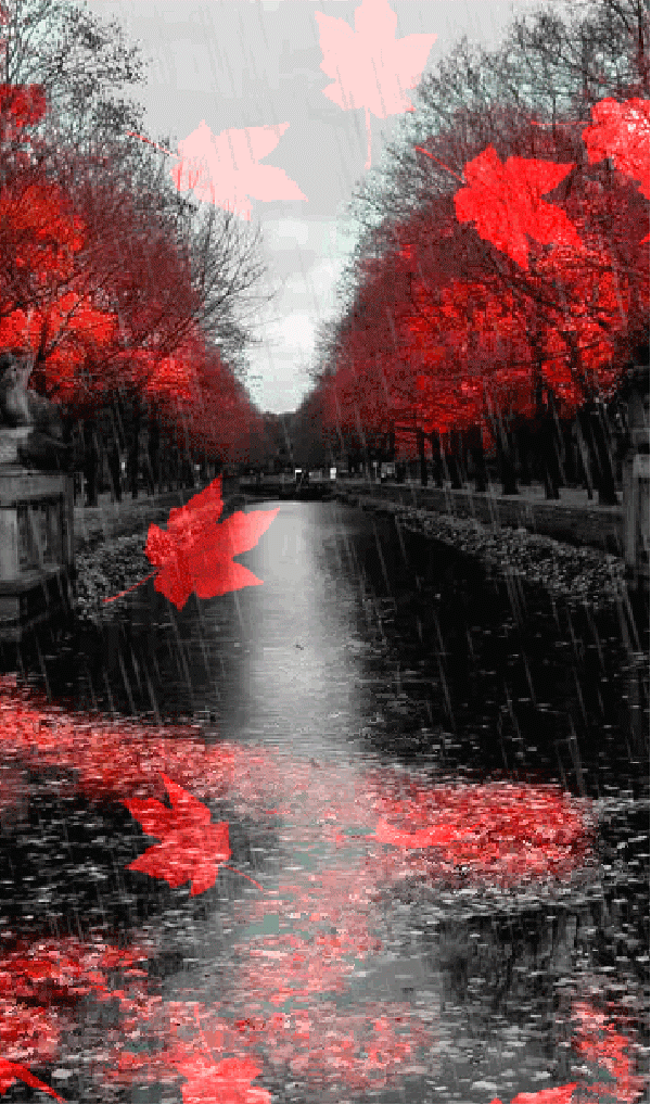 Download Photography Rain Gif Gif Abyss