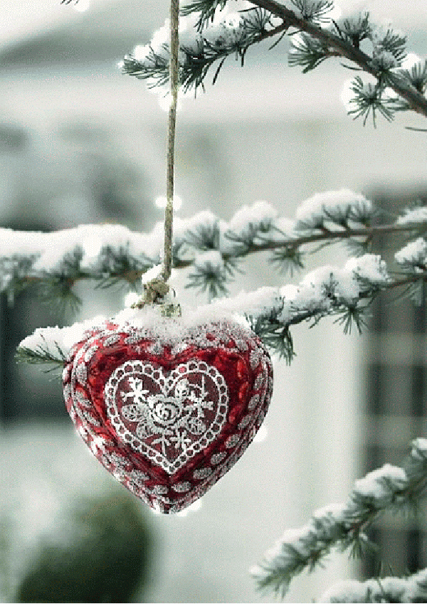 red heart and spruce branches Gif Abyss