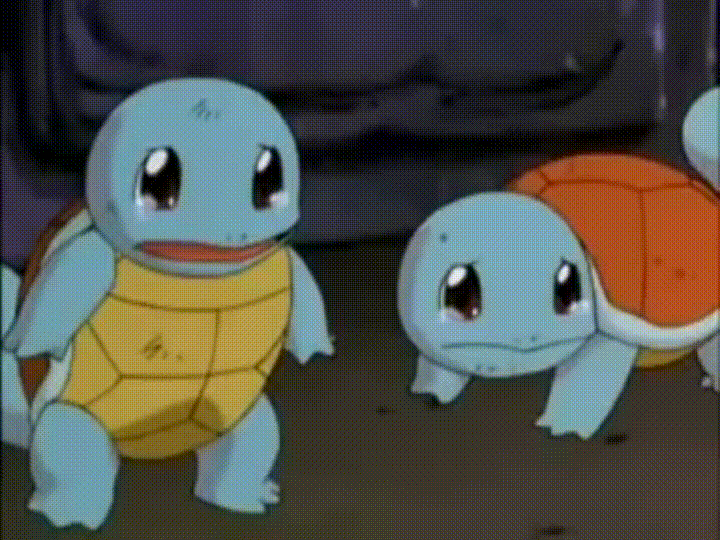 24 Squirtle (Pokémon) Gifs Gif Abyss