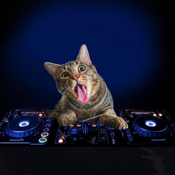 Download EDM Electronic Music Music DJ Gif Gif Abyss
