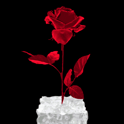 Download Artistic Rose Gif Gif Abyss