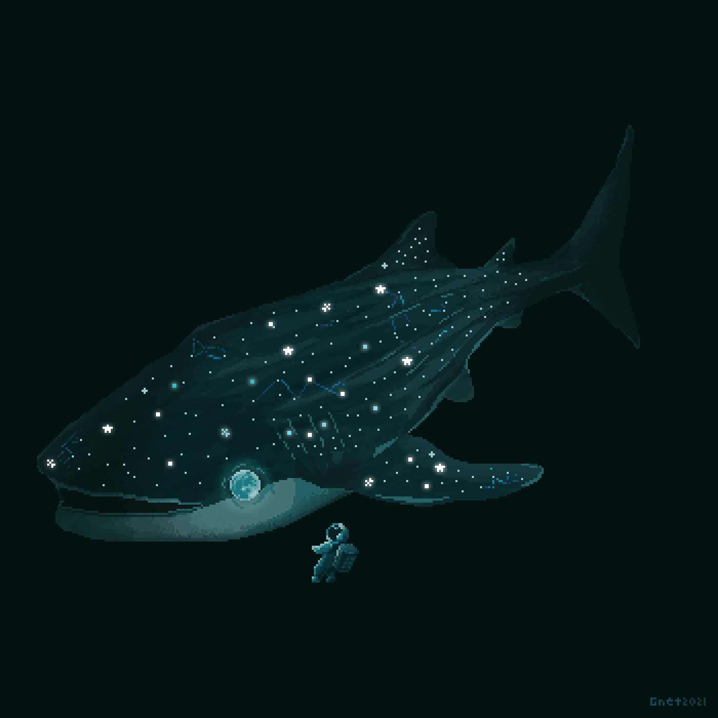 Whale Gifs