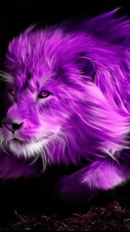 Fantasy Lion Gif Gif Abyss