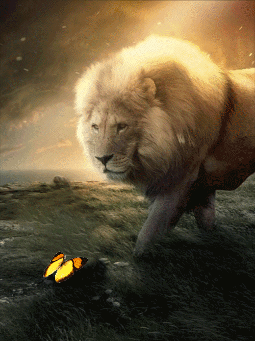 Download Fantasy Lion Gif Gif Abyss