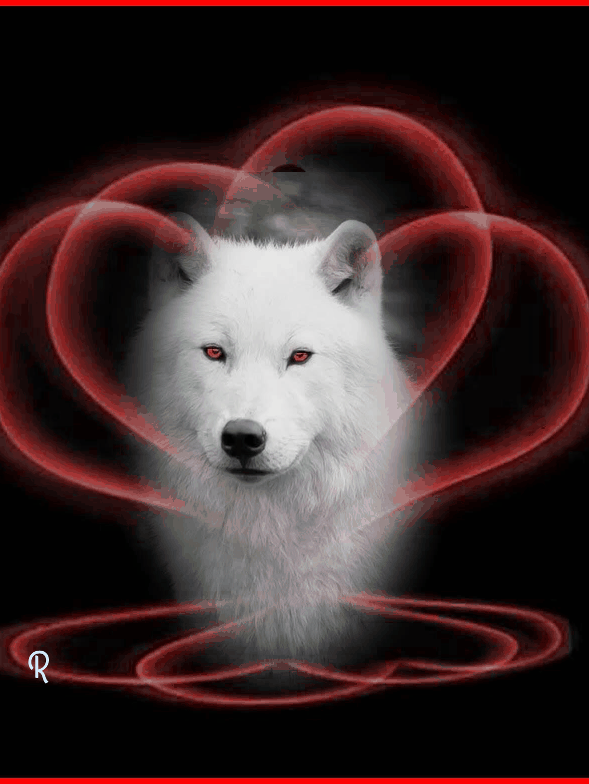 Silver Wolf With Blue Eyes Gif