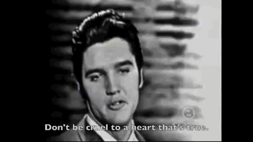 Elvis Presley Thank You Very Much Gif