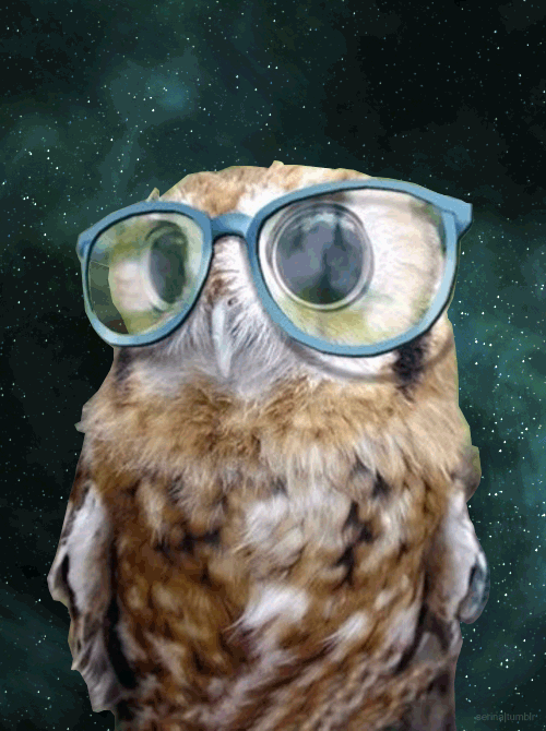 Space Owl Gif Abyss