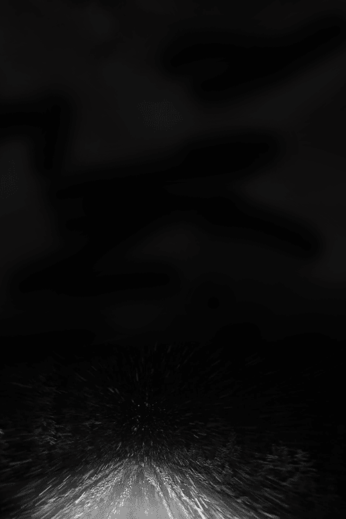 Download Nature Winter Abstract Dark Texture Gif Gif Abyss