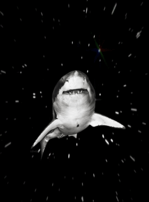 Download Shark Sci Fi Space Gif Gif Abyss