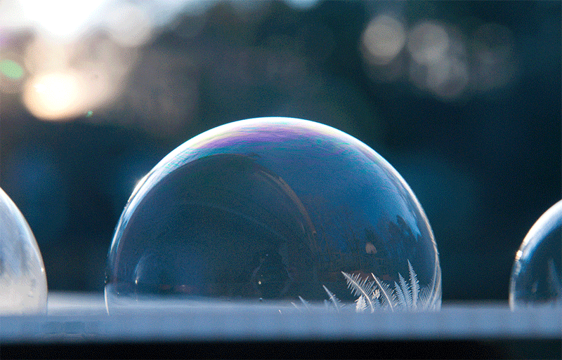 Download Photography Bubble Gif Gif Abyss