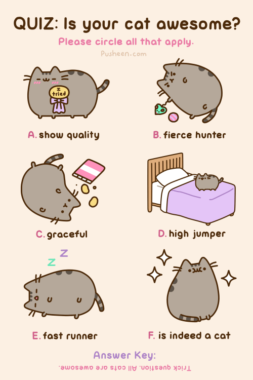 Download Man Made Pusheen Cat Gif Gif Abyss
