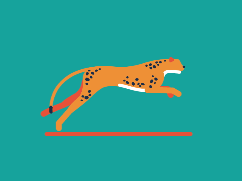 Download Animal Cheetah Gif Gif Abyss