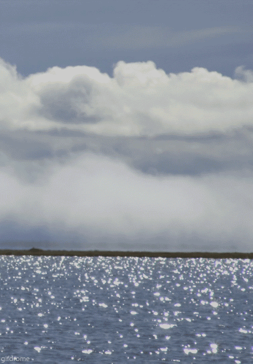 17 Ocean Gifs Gif Abyss