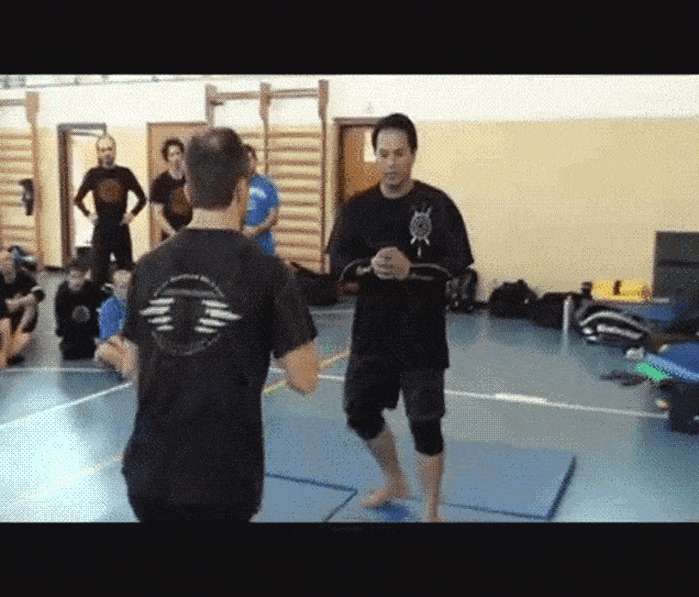 Martial Arts Gif Gif Abyss