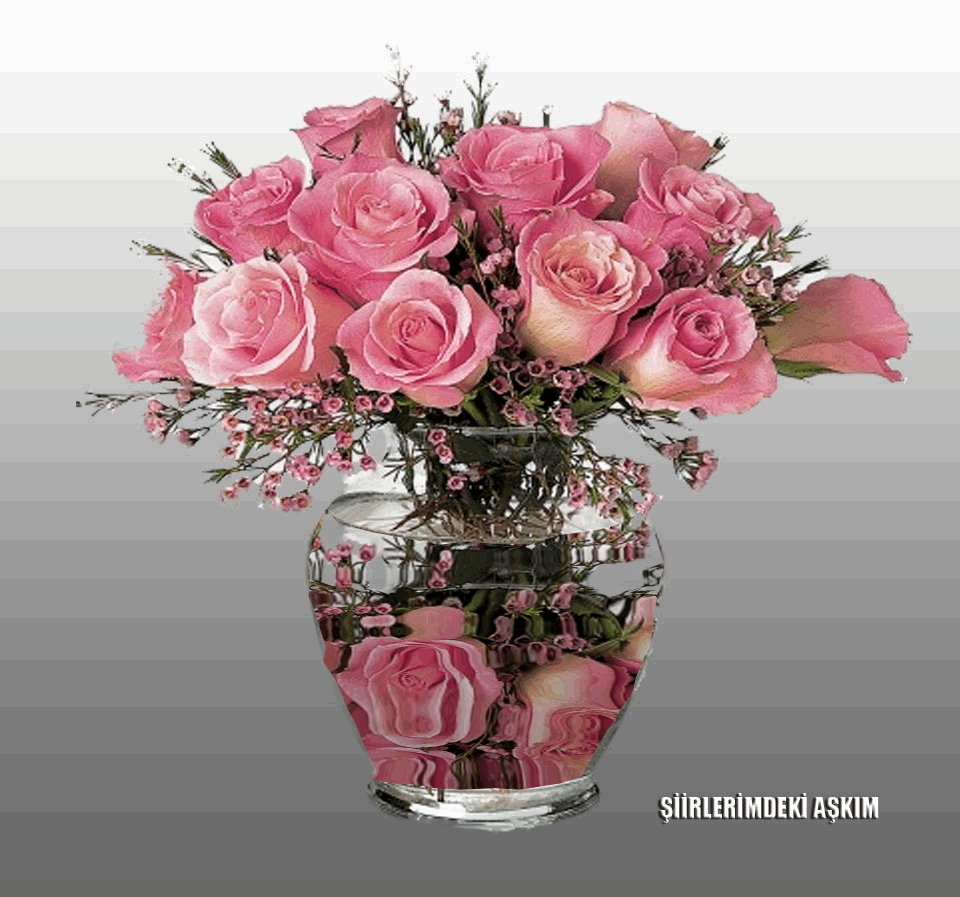 Download Nature Flower Gif Gif Abyss