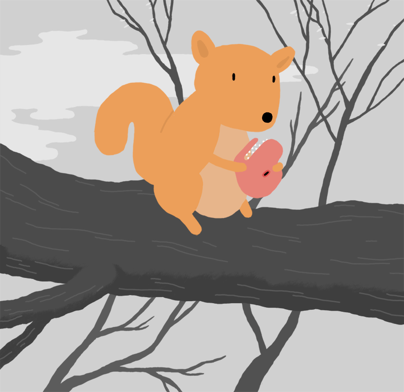 Squirrel Gif Gif Abyss