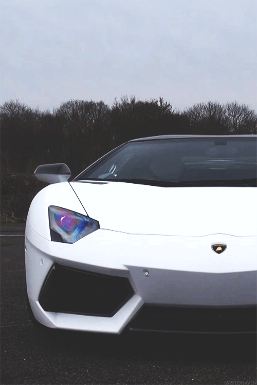 Download Supercar Vehicle Car Gif Gif Abyss