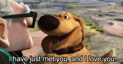 I have just met you, and I love you