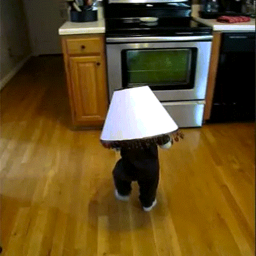 GIF Baby Runs Into Oven With Lampshade On Its Head Gifrific