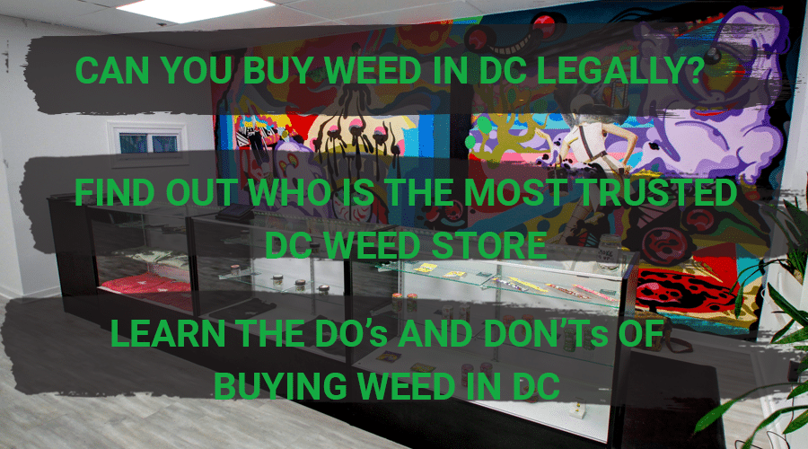 How to Buy Weed in DC with No Medical Card 2021 Gifted Curators DC