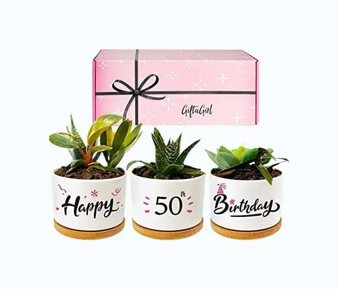 60 Unique 50th Birthday Gifts For Women 2024 Guide