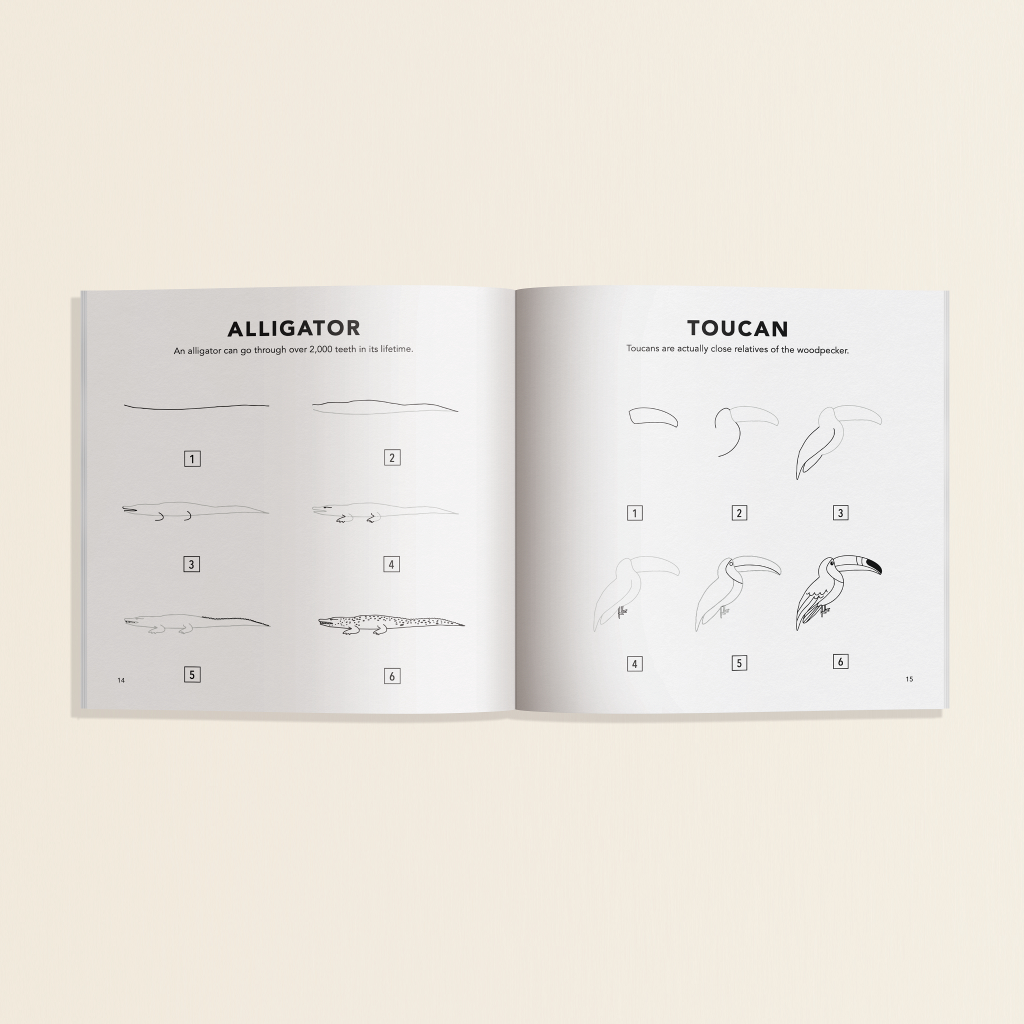 How to Draw All the Animals for Kids (Mini) GiftsToMe