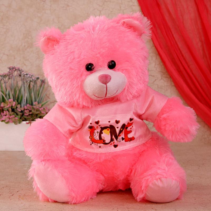 Hug Me!! Teddy Bears GiftteensBuy Gifts Online