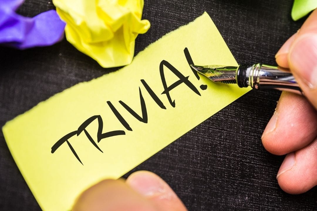 30 Gifts for Trivia Lovers Who Know It All GiftUnicorn