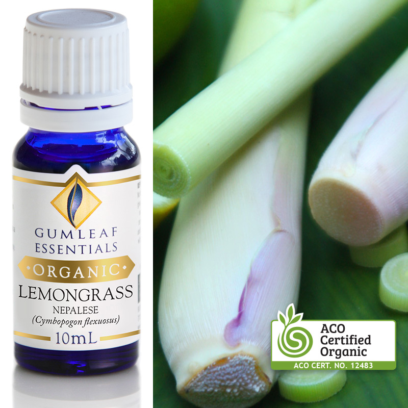 Organic Essential Oil Lemongrass Nepalese Giftware Agencies