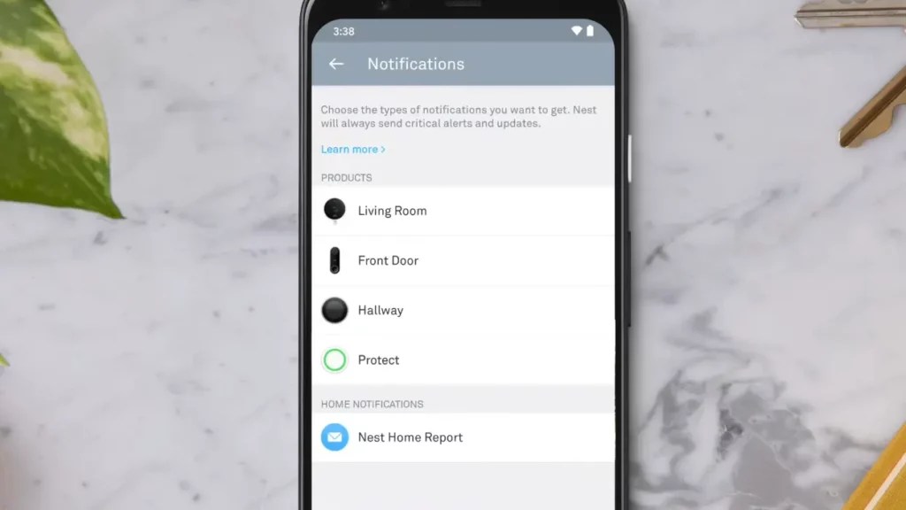 Nest Doorbell Not Sending Notifications