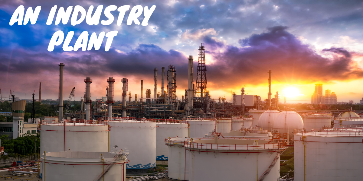 Unveiling Industry Plants Insights into Emirates Industrial