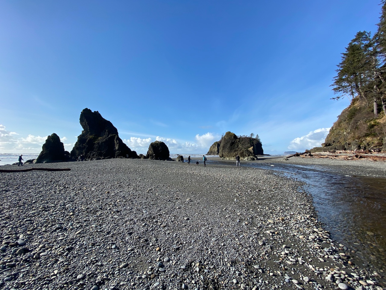 Olympic Peninsula Gig Harbor Fly Shop