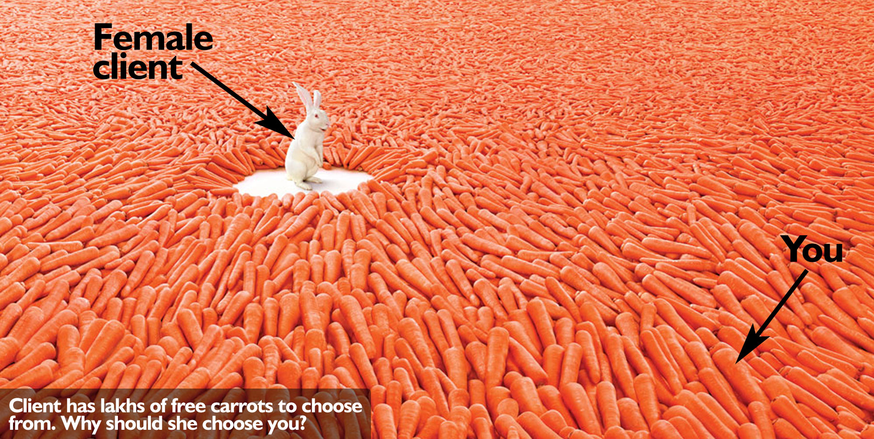 Who is a Gigolo, what does a Gigolo do? Gigolo Training