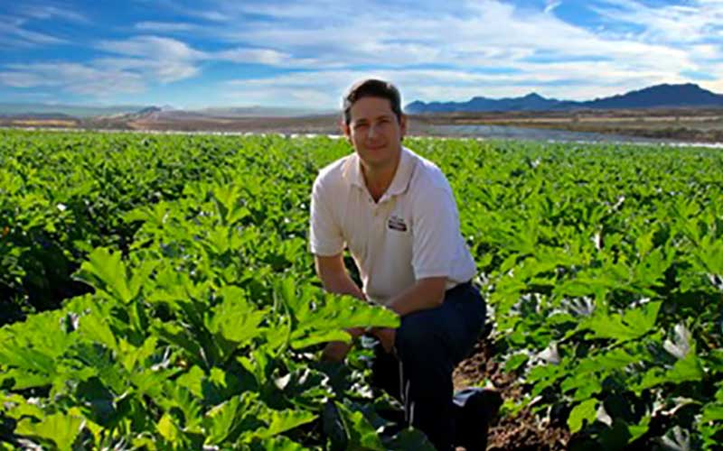 Arizona farmer testifies regulators hinder, more than help, organics