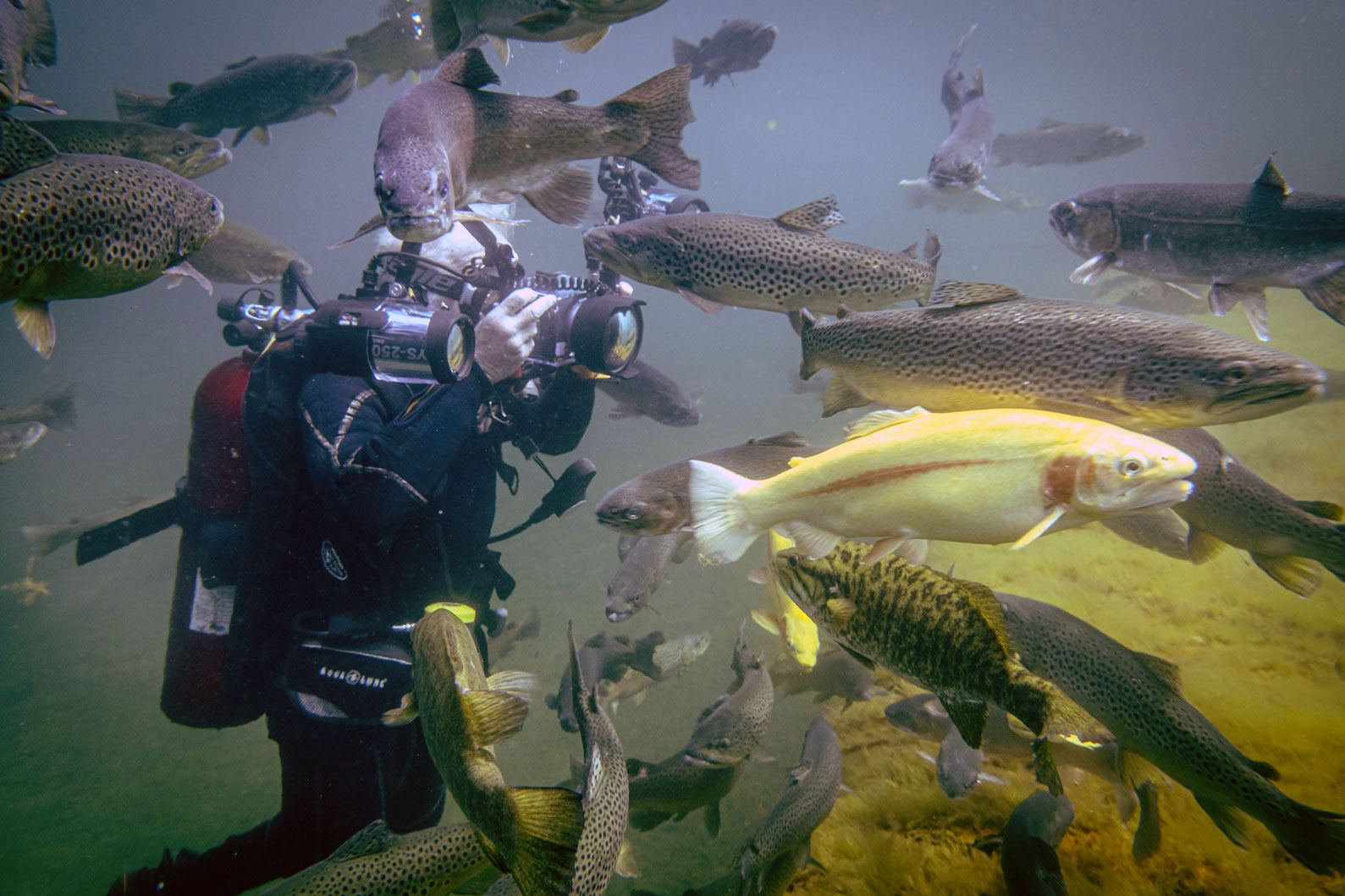 Gallery Gilboa Quarry