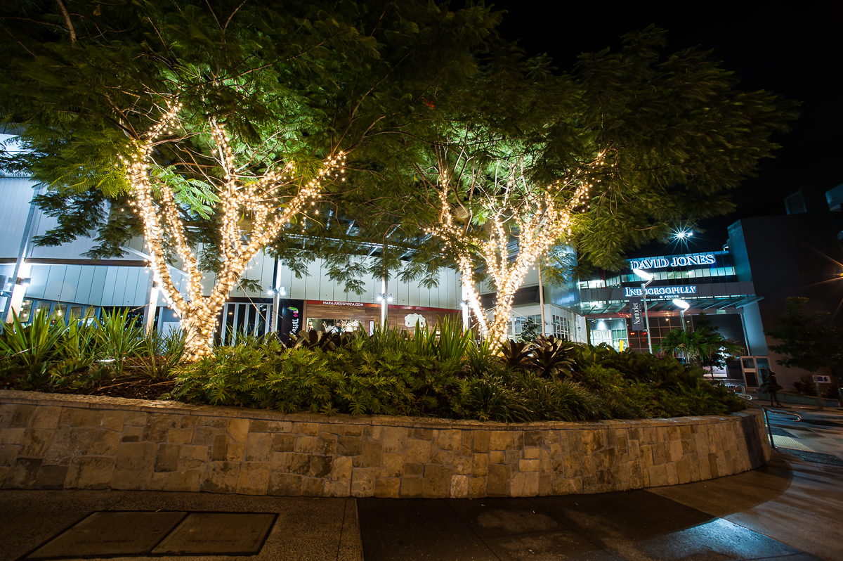 Indooroopilly trees Lighting Designer