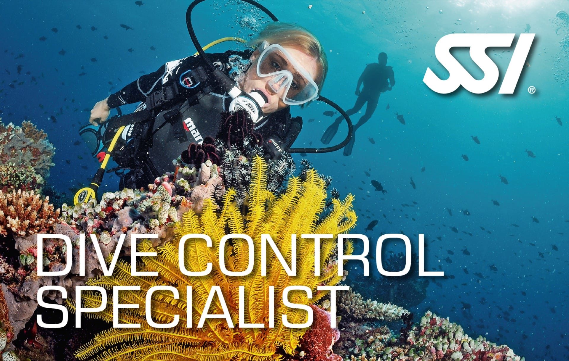 Professional Diving Courses Singapore Dive Courses Singapore Dive Singapore