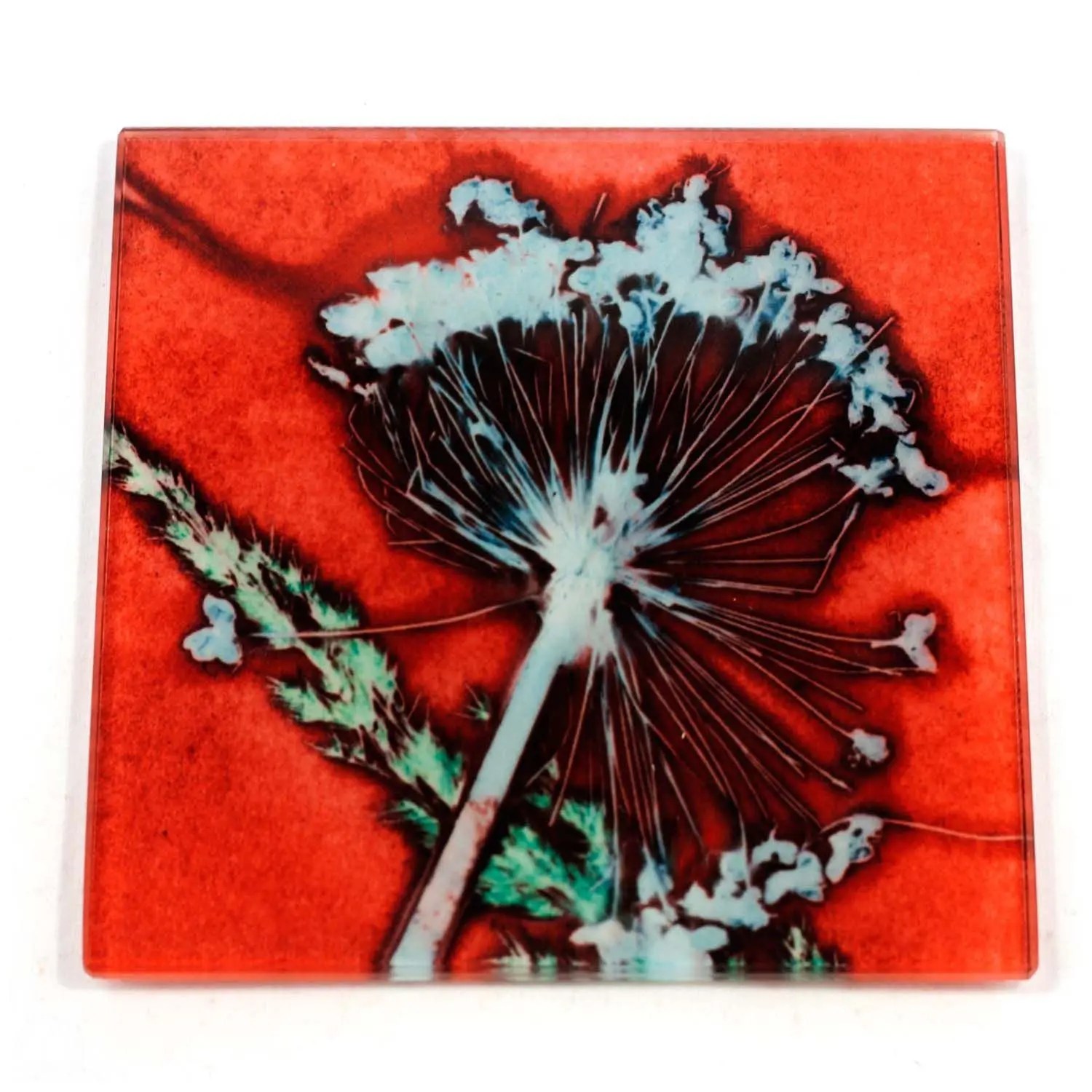 Red Allium Rush Botanic Style Glass Coaster Gillian Arnold