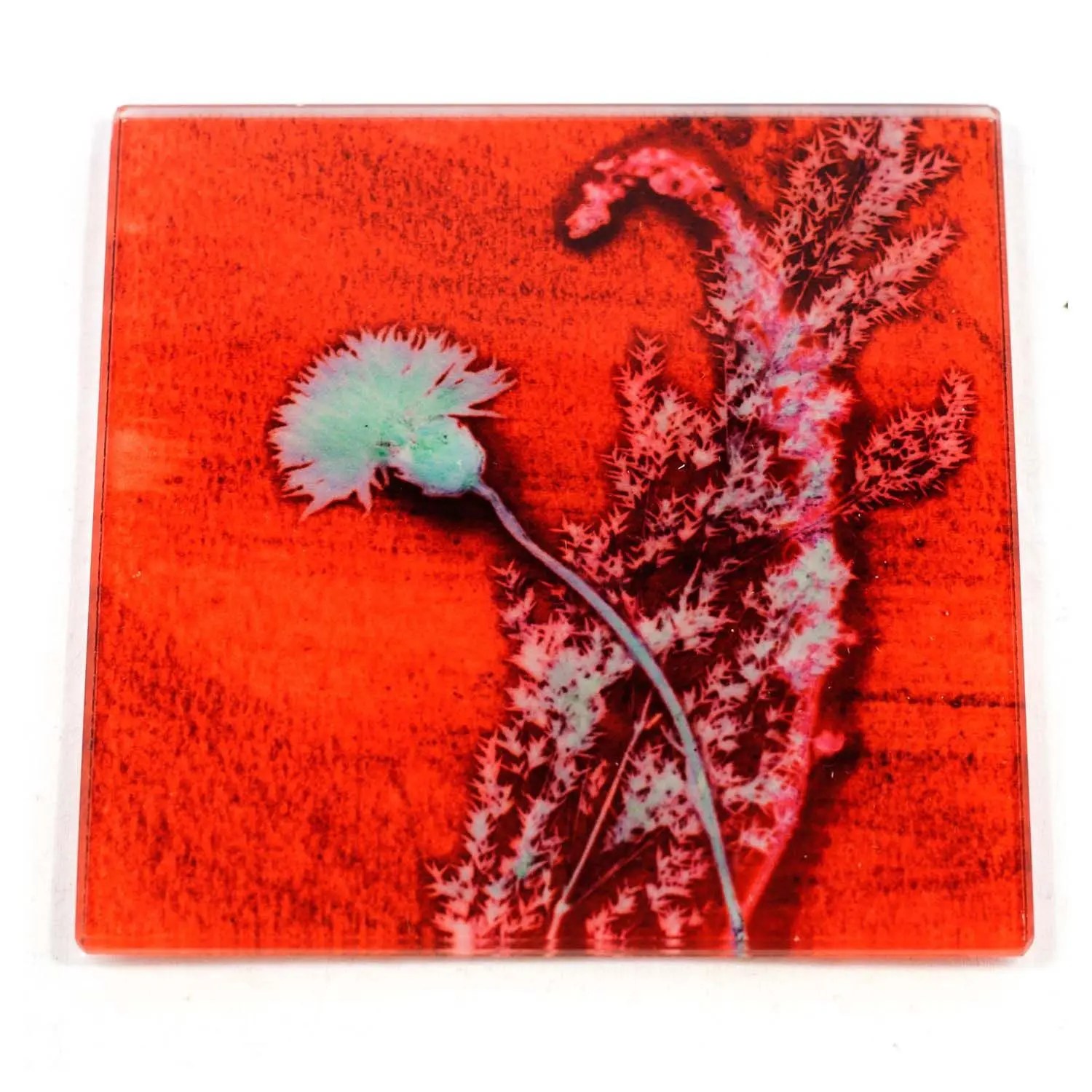 Red Grass Sympathy Botanic Style Glass Coaster Gillian Arnold