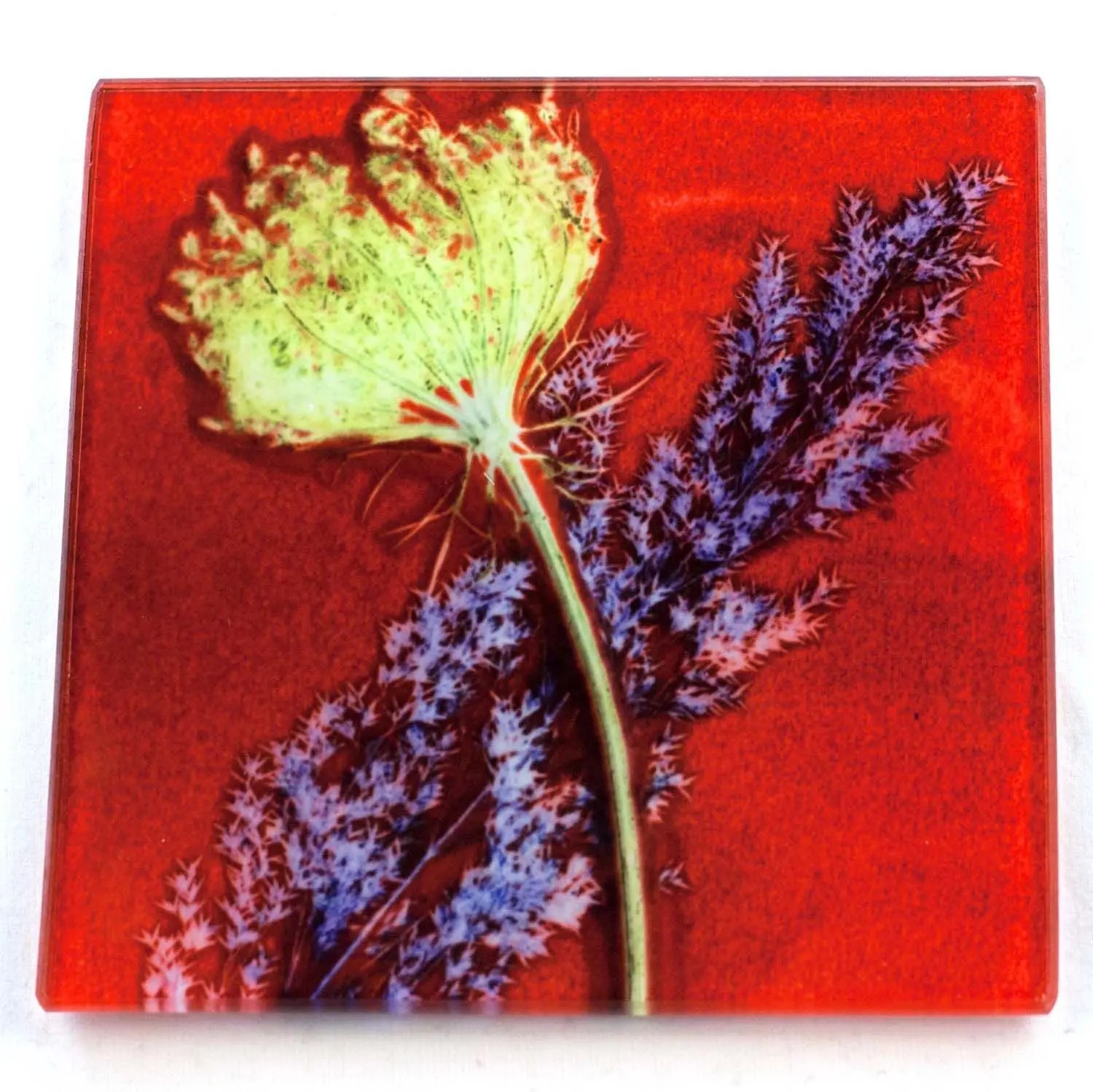 Red Layers Botanic Style Glass Coaster Gillian Arnold