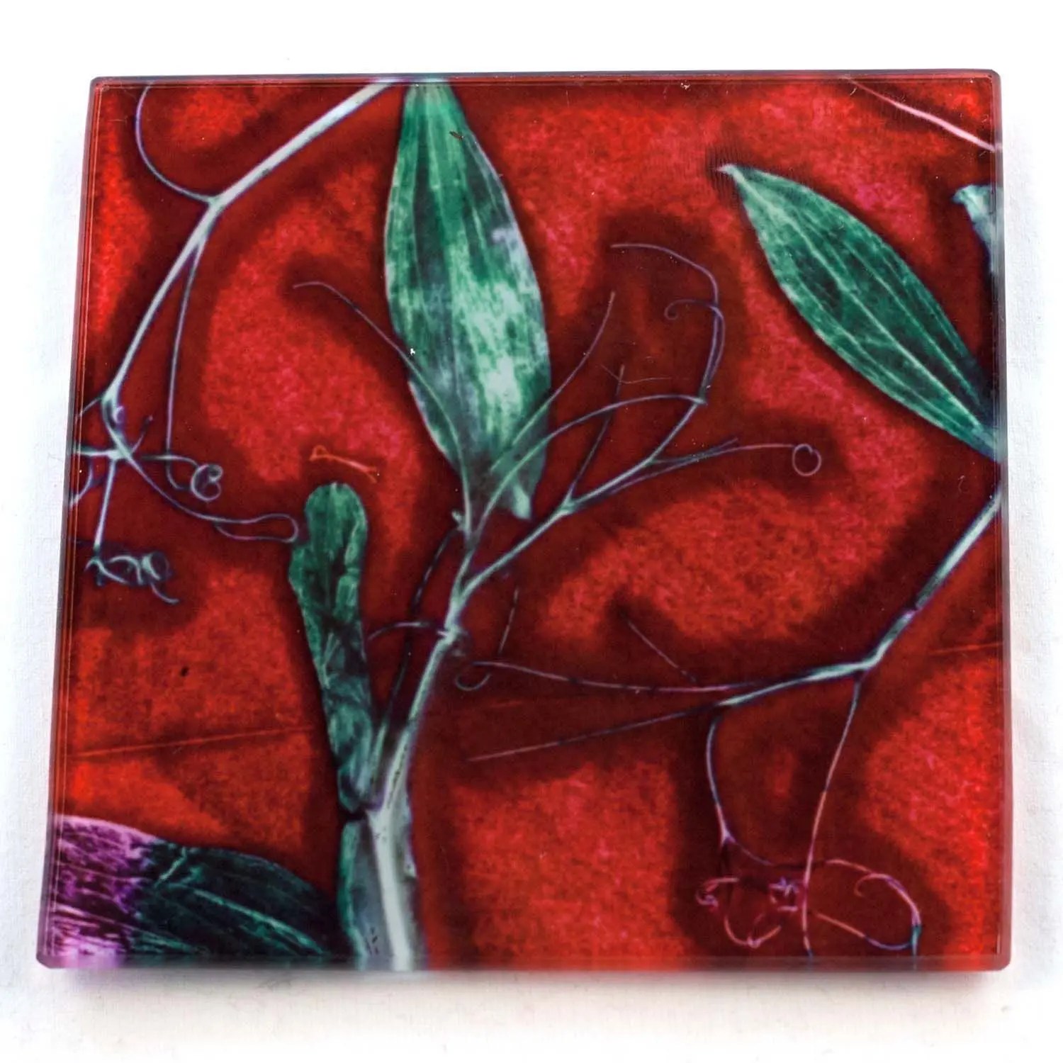 Red Sweet Curves Botanic Style Glass Coaster Gillian Arnold