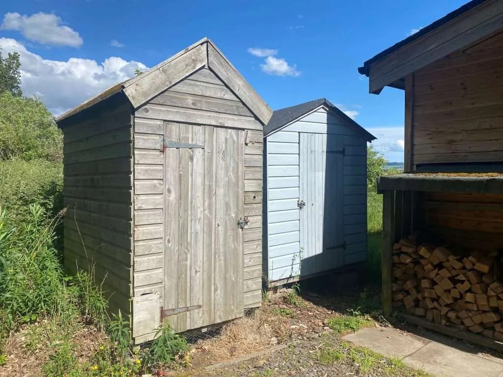 Whitewood vs Redwood Which Wood is Best for a Garden Shed?