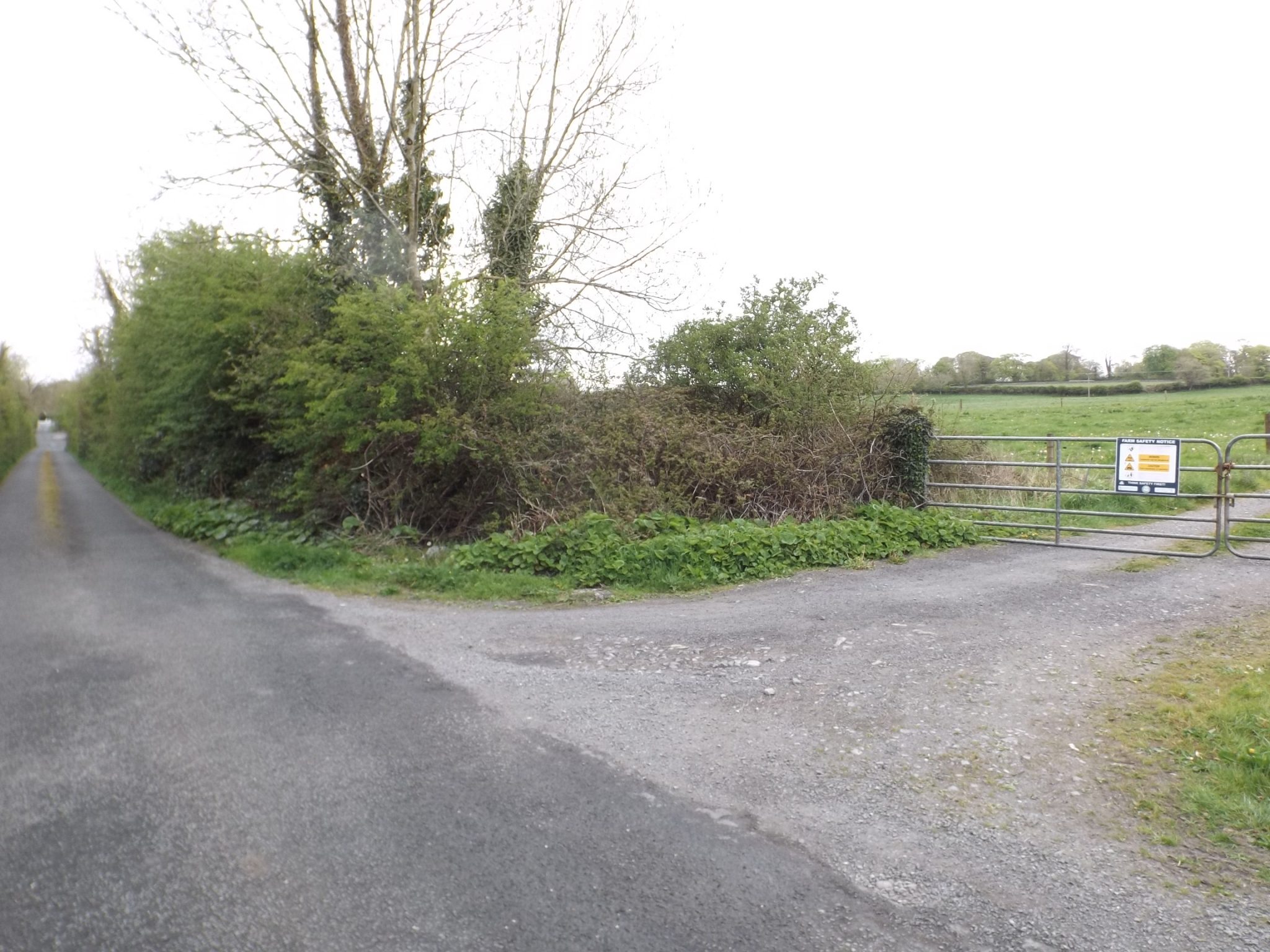 Rinneen, Quin, Co .Clare Niall Gilligan Auctioneers