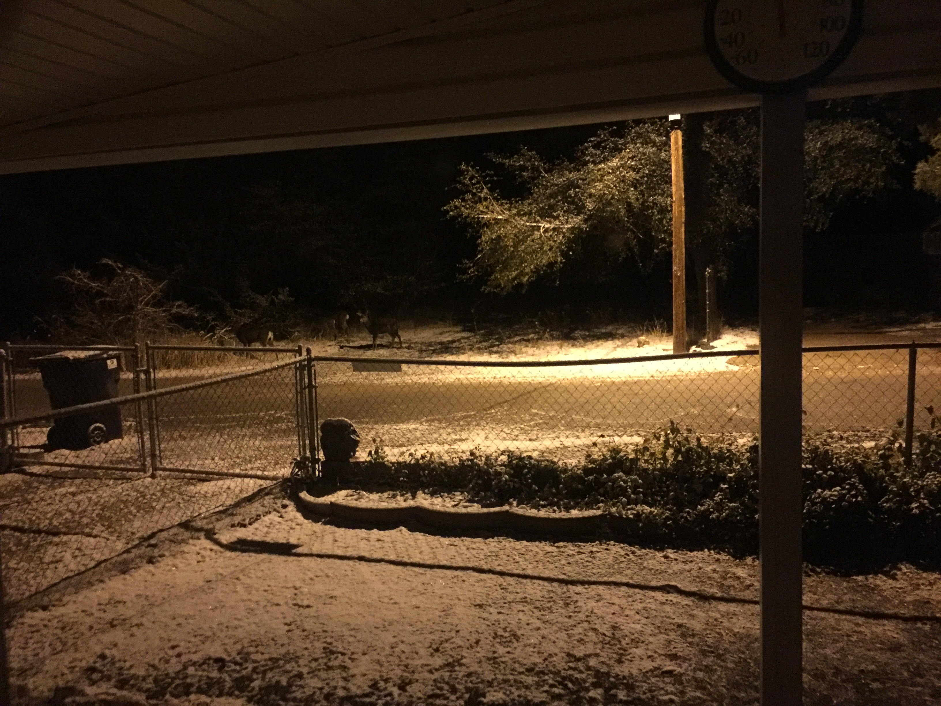 Yarnell AZ first snow of 2018 Gilligans Pizza & Bar Yarnell Arizona