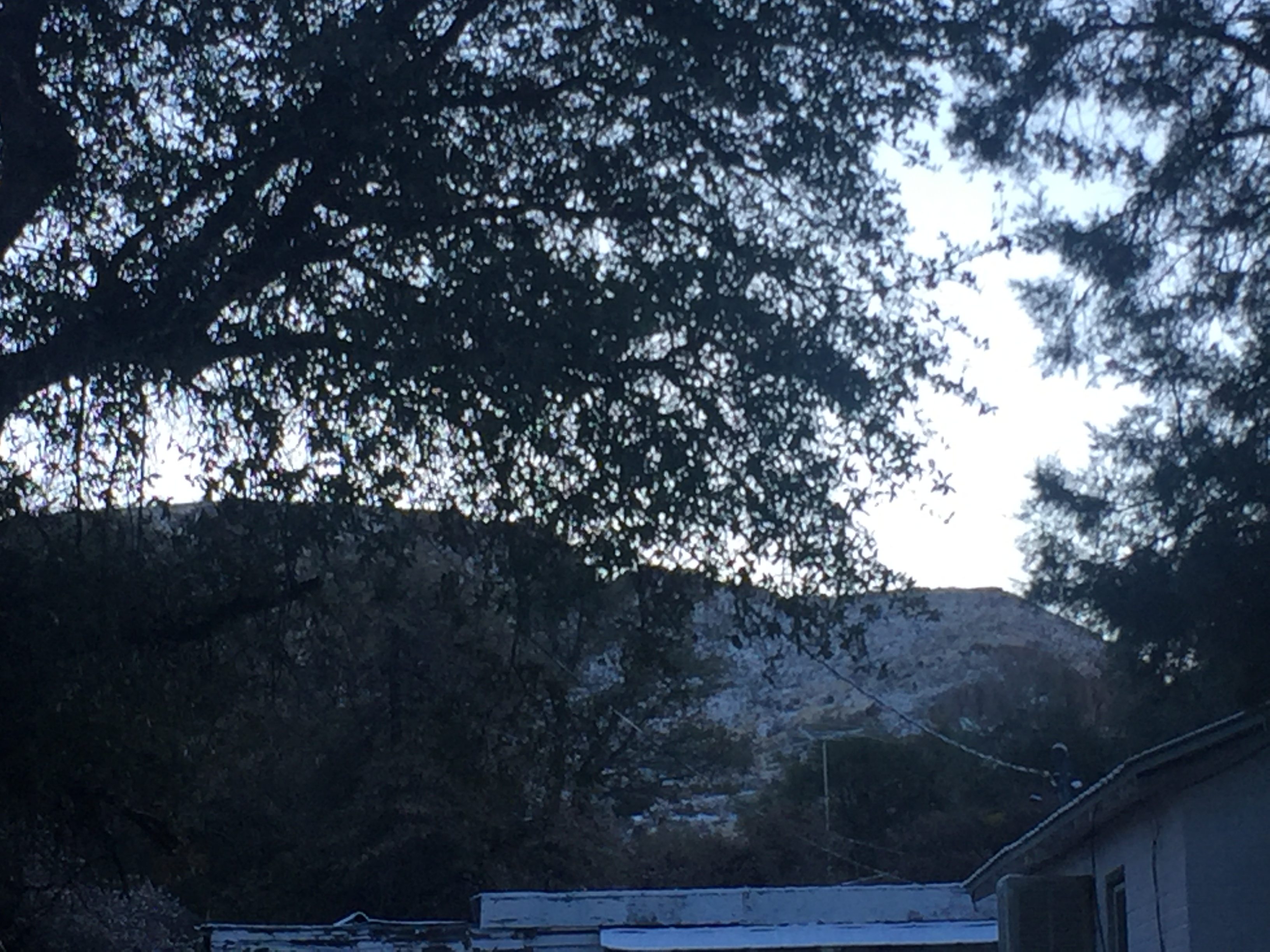 Yarnell AZ first snow of 2018 Gilligans Pizza & Bar Yarnell Arizona