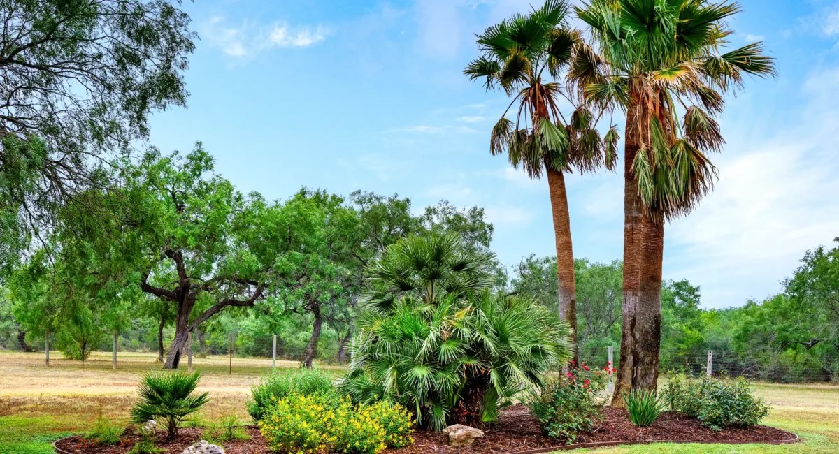 Versatile & Artistic Rockport, TX Landscape Design Services