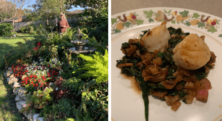 Keithâ€™s Swiss Chard Success Story Gill Garden Center + Landscape Co.