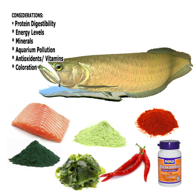 Chemical composition,Meniral Content and Amino Acid and Lipid profiles