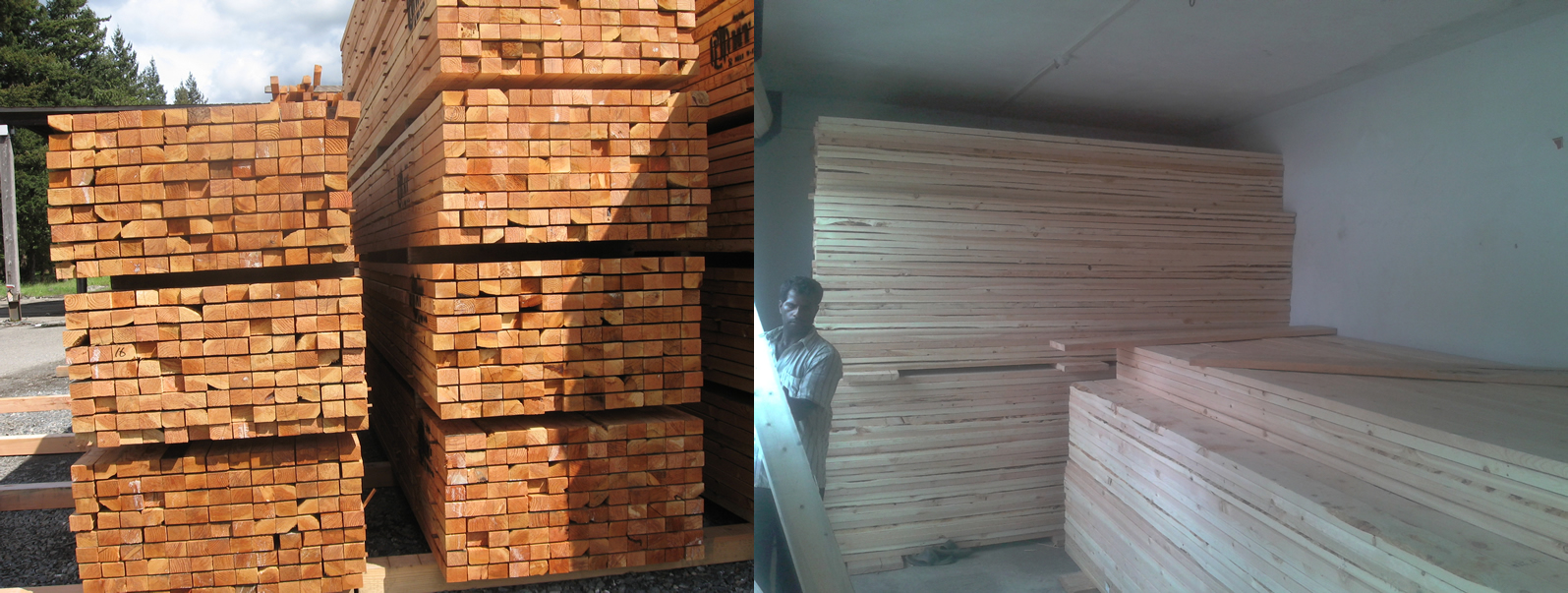 Gill Timbers International Exports of Softwoods and Hardwoods.