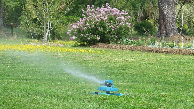 How Do I Bring My Lawn Back To Life? Eden Lawn Care